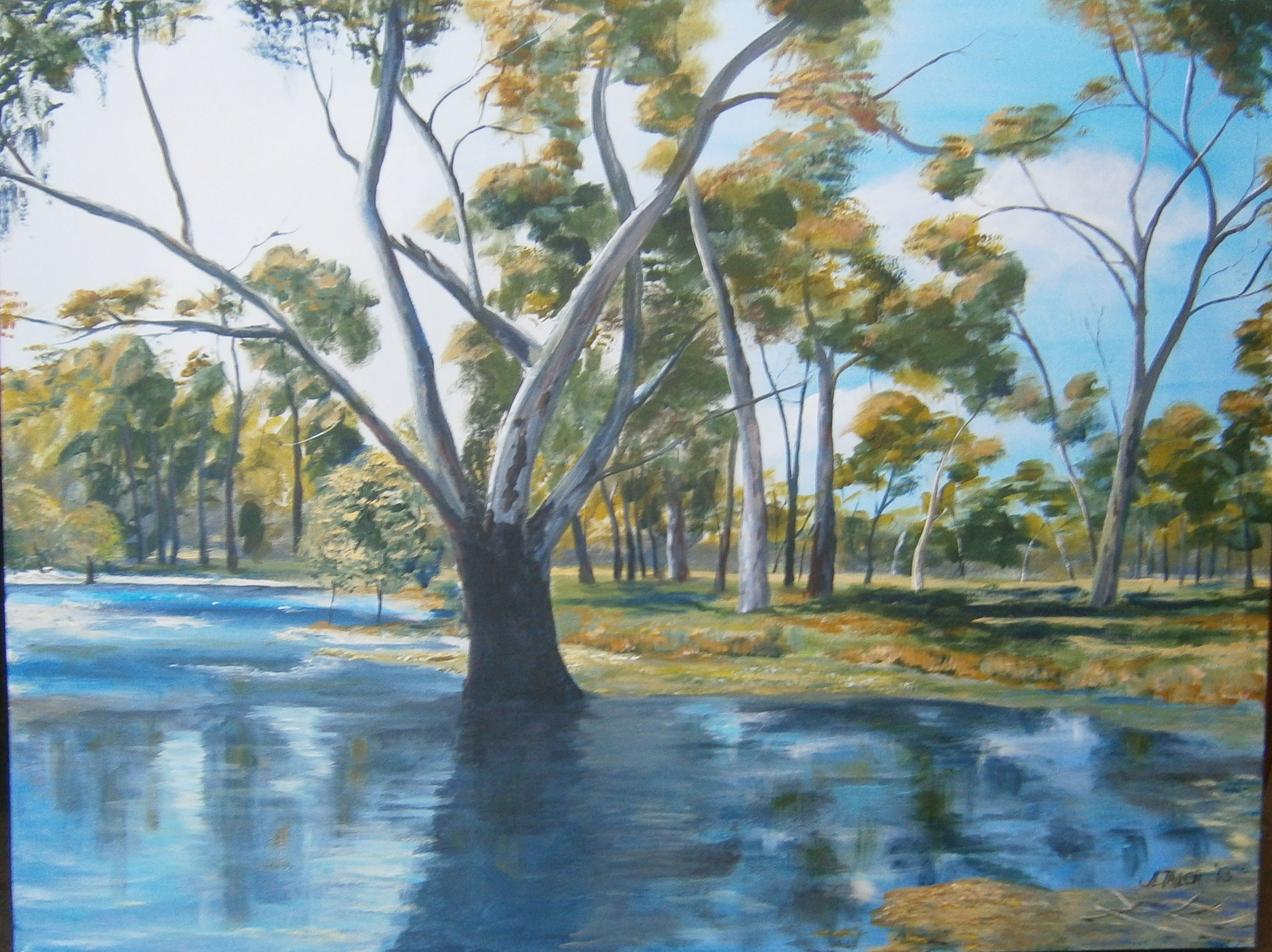 Paintings for sale featuring Murray bushland, the sea and Australia in ...