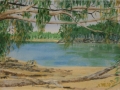 Title: Bush Beach